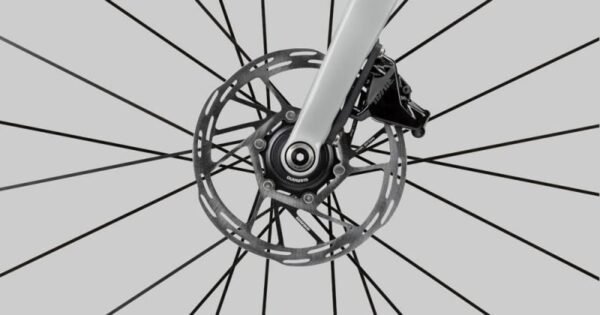 Radon Vaillant Disc 8.0 – Bild 4