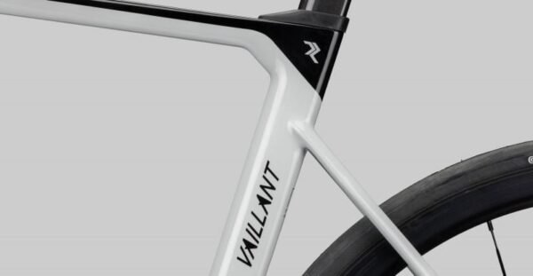 Radon Vaillant Disc 8.0 – Bild 7
