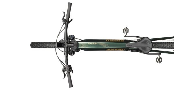Radon Jealous Hybrid 9.0 750 – Bild 2
