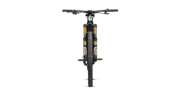 Radon RENDER 10.0 750 – Bild 9