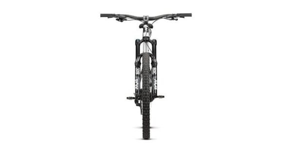 Radon SWOOP AL 9.0 – Bild 2