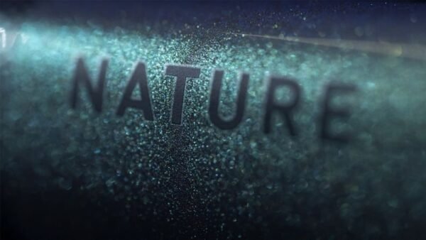 Cube Nature EXC verde´n´black – Bild 3