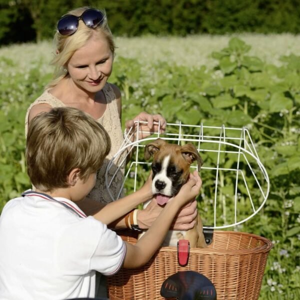 KLICKfix Doggy Basket Plus Fix Hundefahrradkorb 0399FH - natur – Bild 2