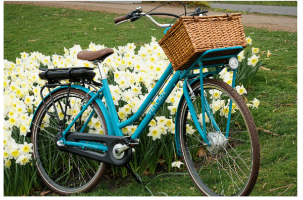 Pedelec E-Bike Cityfahrrad 28'' Adore Cantaloupe Adore 127E, 128E. – Bild 8