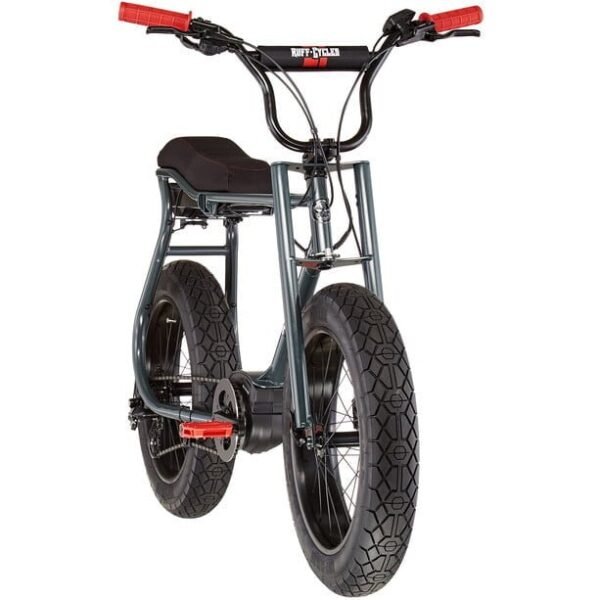 Ruff Cycles Lil'Buddy Bosch Active Line 300Wh grau – Bild 8